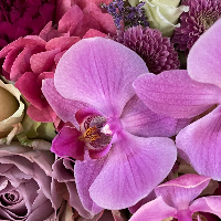 Georg Hermann Hopland